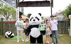 长虹618牵手国宝顶流熊猫IP与国补 “补上加补”剑指销量爆发与品牌年轻化？顶流ip是什么意思