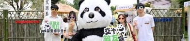 长虹618牵手国宝顶流熊猫IP与国补 “补上加补”剑指销量爆发与品牌年轻化？顶流ip是什么意思